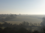 FZ012028 Trees in the mist.jpg